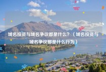 域名投资与域名争议都是什么？（域名投资与域名争议都是什么行为）