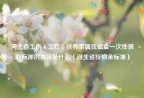 河北省工伤（工亡）供养亲属抚恤金一次性领取标准的内容是什么（河北省抚恤金标准）