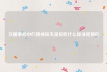 交通事故中的精神损失是按照什么标准赔偿的