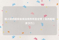 致人轻伤赔偿金有没有伤残鉴定费（轻伤赔偿多少万）