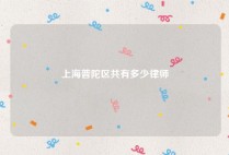 上海普陀区共有多少律师