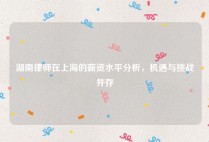 湖南律师在上海的薪资水平分析，机遇与挑战并存