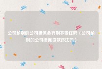 公司给别的公司担保会有刑事责任吗（公司给别的公司担保贷款违法吗）