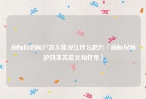 商标权的保护意义体现在什么地方（商标权保护的现实意义和作用）