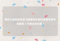 侵犯少数民族风俗习惯罪的犯罪构成要件具体有哪些（少数名族犯罪）
