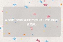 双方均出资购房分手后产权归谁（双方共同出资买房）