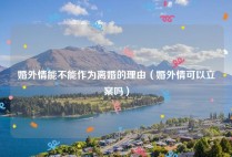 婚外情能不能作为离婚的理由（婚外情可以立案吗）