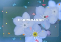 怎么查律师是不是真的