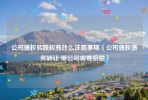 公司债权转股权有什么注意事项（公司债权债务转让 原公司需要赔偿）