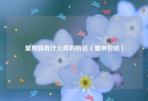 量刑具有什么样的特征（量刑包括）