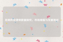 昆明执业律师数量探究，市场规模与发展现状
