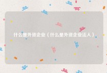什么是外资企业（什么是外资企业法人）