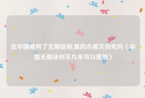 在中国被判了无期徒刑,真的会被关到死吗（中国无期徒刑关几年可以缓刑）