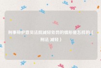 刑事辩护意见法院减轻处罚的情形是怎样的（刑法 减轻）
