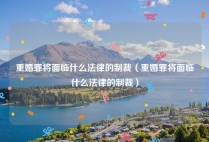 重婚罪将面临什么法律的制裁（重婚罪将面临什么法律的制裁）