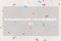 组合家庭离婚怎么办理（组合家庭的婚姻幸福吗）