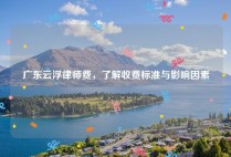 广东云浮律师费，了解收费标准与影响因素