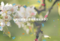 光明行政复议律师费用知多少？