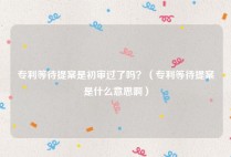 专利等待提案是初审过了吗？（专利等待提案是什么意思啊）