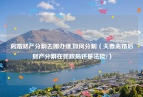 离婚财产分割去哪办理,如何分割（夫妻离婚后财产分割在民政局还是法院?）