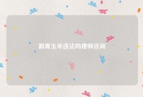 割青玉米违法吗律师咨询