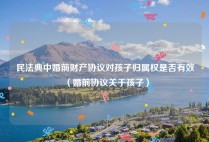 民法典中婚前财产协议对孩子归属权是否有效（婚前协议关于孩子）