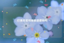 打债务官司需要请律师吗