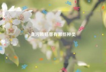 贪污贿赂罪有哪些种类