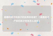 离婚时房子和孩子的抚养权给谁？（离婚房子产权归孩子所有怎么流程）