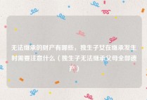 无法继承的财产有哪些，独生子女在继承发生时需要注意什么（独生子无法继承父母全部遗产）