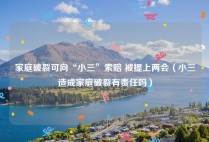 家庭破裂可向“小三”索赔 被提上两会（小三造成家庭破裂有责任吗）