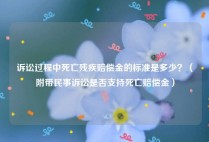 诉讼过程中死亡残疾赔偿金的标准是多少？（附带民事诉讼是否支持死亡赔偿金）