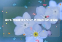 普陀区婚姻律师多少钱？费用解析与选择指南