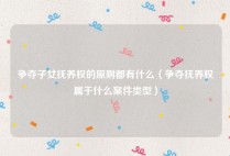 争夺子女抚养权的原则都有什么（争夺抚养权属于什么案件类型）