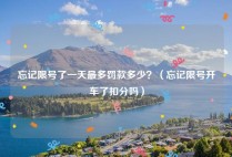 忘记限号了一天最多罚款多少？（忘记限号开车了扣分吗）
