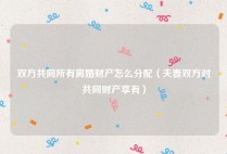 双方共同所有离婚财产怎么分配（夫妻双方对共同财产享有）