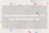 同居关系和同居财产能起诉到法院吗？（关于同居关系财产如何分割相关法律）