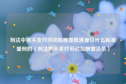 刑法中拒不支付劳动报酬罪既遂是以什么标准量刑的（刑法拒不支付劳动报酬罪法条）