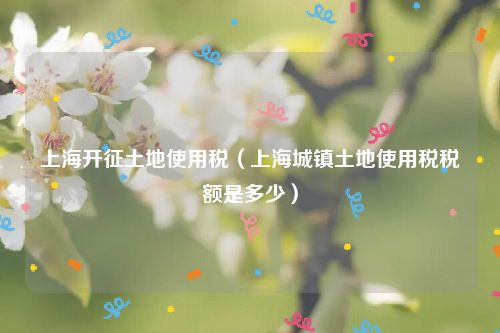 上海开征土地使用税（上海城镇土地使用税税额是多少）
