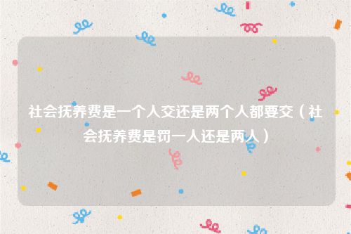 社会抚养费是一个人交还是两个人都要交（社会抚养费是罚一人还是两人）