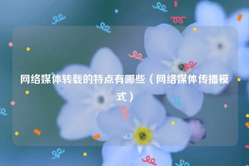 网络媒体转载的特点有哪些（网络媒体传播模式）
