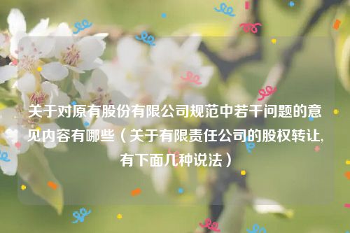 关于对原有股份有限公司规范中若干问题的意见内容有哪些（关于有限责任公司的股权转让,有下面几种说法）