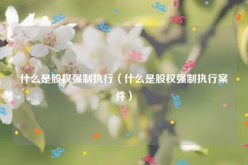 什么是股权强制执行（什么是股权强制执行案件）