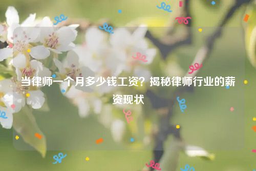 当律师一个月多少钱工资？揭秘律师行业的薪资现状