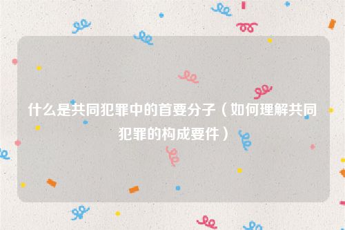什么是共同犯罪中的首要分子（如何理解共同犯罪的构成要件）