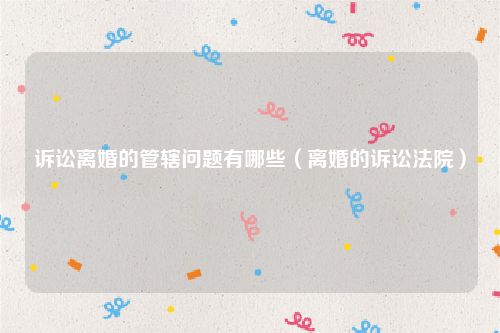 诉讼离婚的管辖问题有哪些（离婚的诉讼法院）