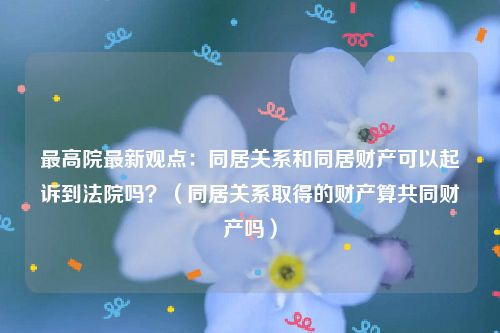 最高院最新观点：同居关系和同居财产可以起诉到法院吗？（同居关系取得的财产算共同财产吗）