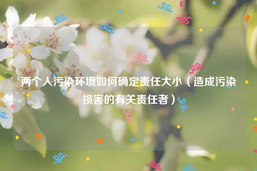 两个人污染环境如何确定责任大小（造成污染损害的有关责任者）
