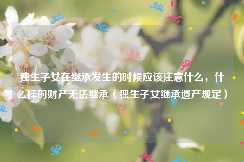 独生子女在继承发生的时候应该注意什么，什么样的财产无法继承（独生子女继承遗产规定）