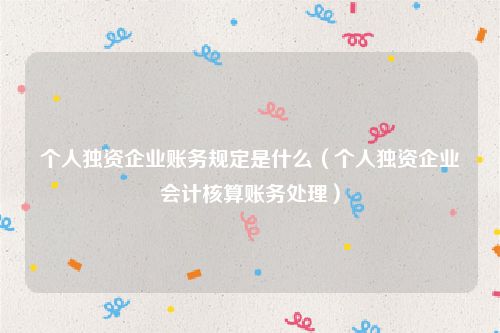 个人独资企业账务规定是什么（个人独资企业会计核算账务处理）